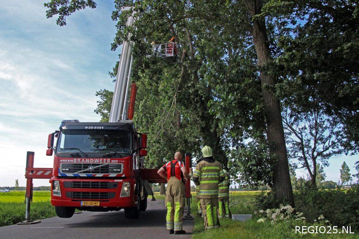 Brandweer verwijdert loshangende tak