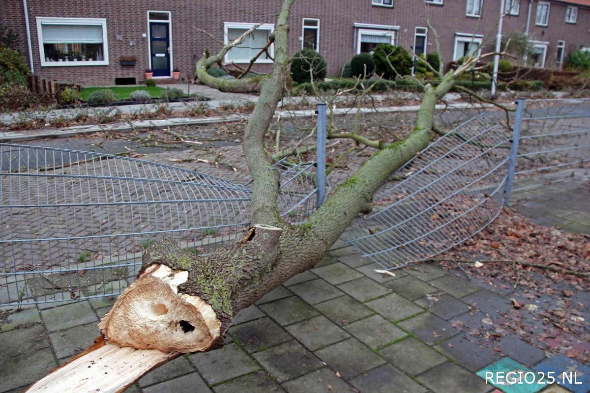 Brandweer druk met stormschade meldingen