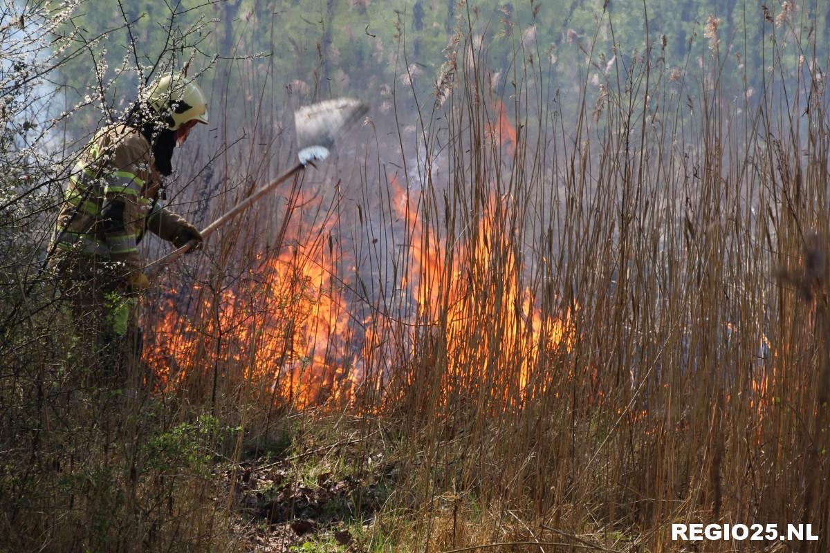 Korte maar felle brand in Urkerbos