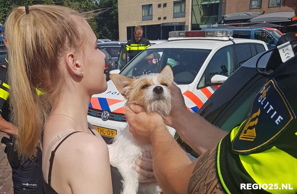 Hond uit snikhete auto gered