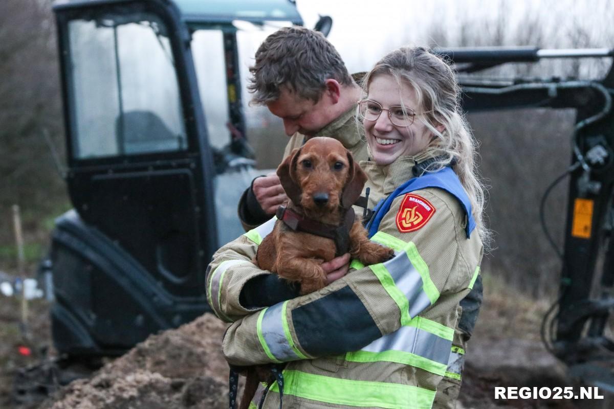 Brandweer redt hondje uit vossenhol