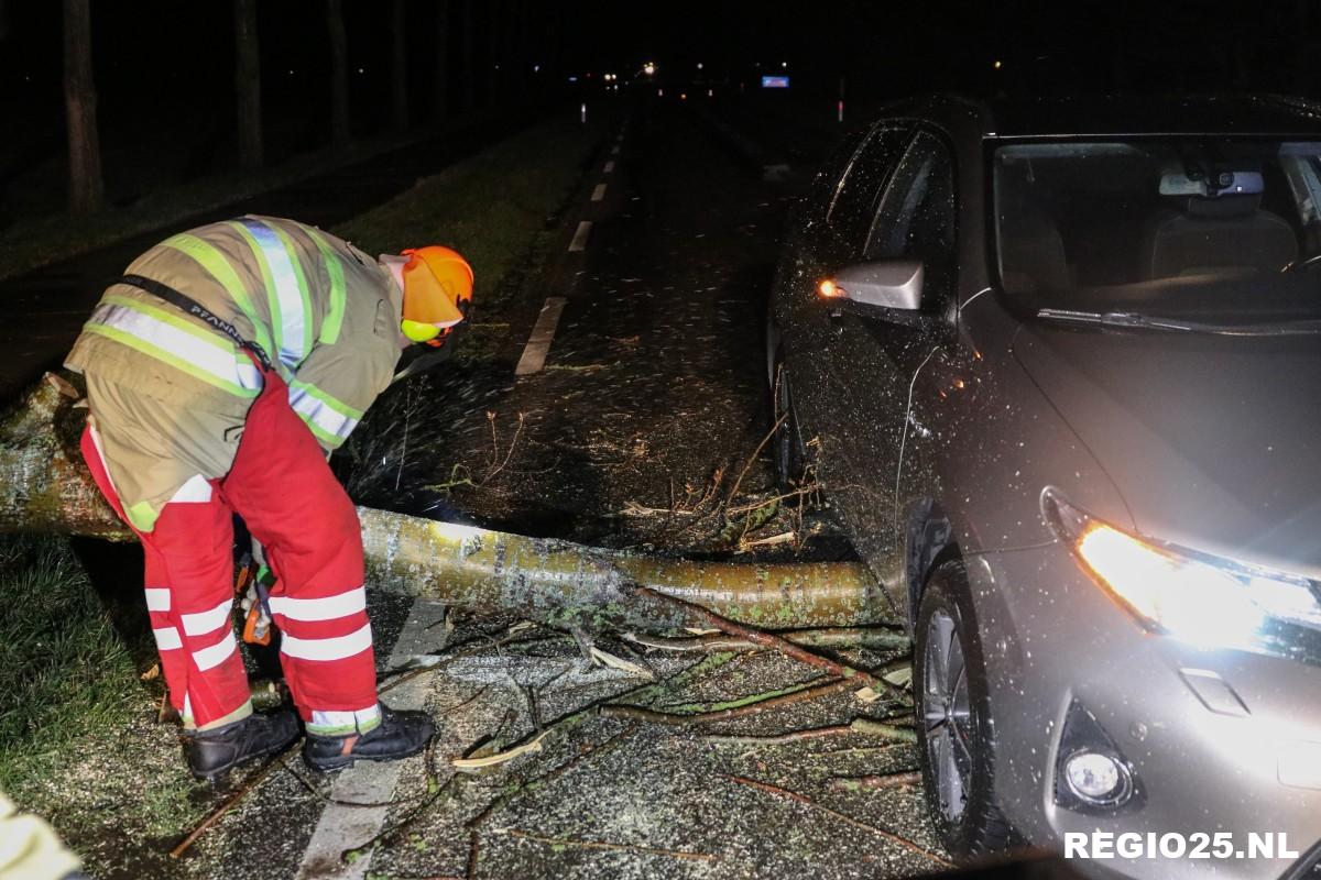 Auto rijdt over omgewaaide boom