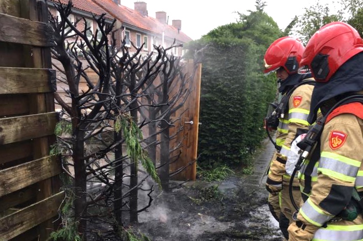 Coniferen in brand achter woning