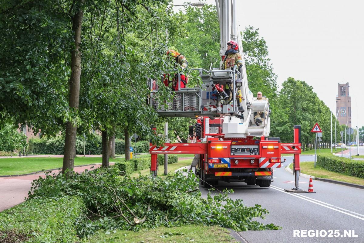 Brandweer druk met losgewaaide takken