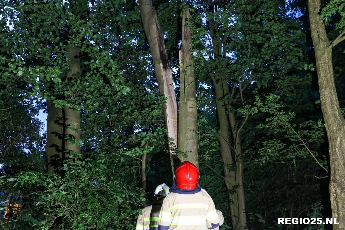 Boom valt bijna op verpleeghuis