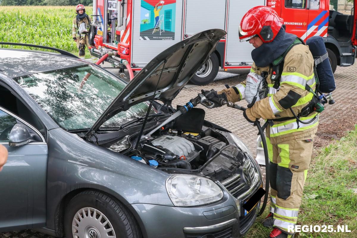 Steenmarter boosdoener bij autobrandje