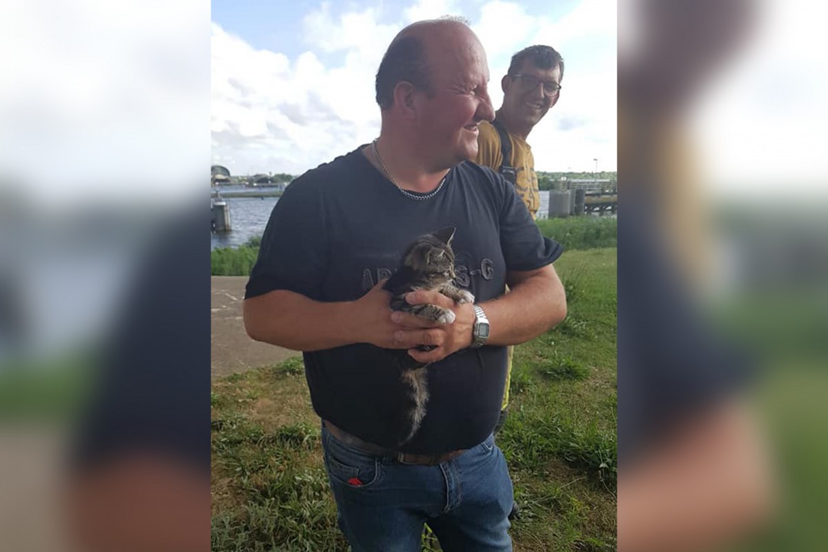 Kitten van Ramspolbrug gered