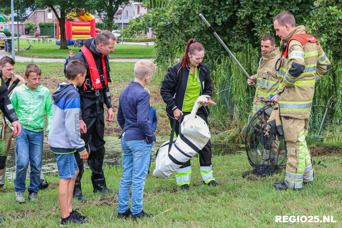 Verzwakte zwaan alsnog overleden