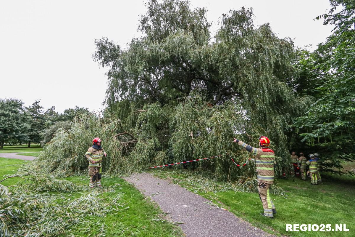 Treurwilg bezorgt brandweer veel werk