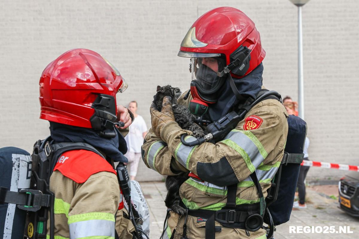 Vrouw, kinderen en katten gered bij woningbrand