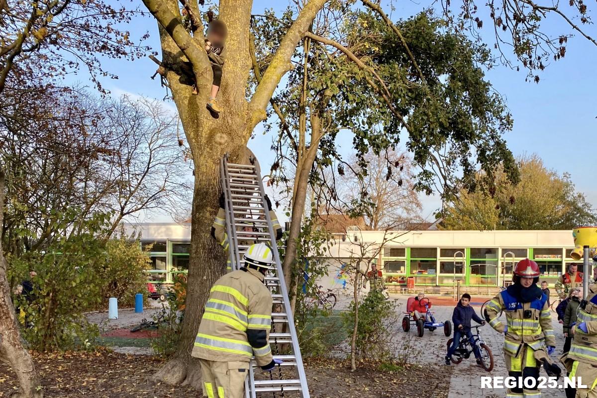 Brandweer helpt jongetje uit boom