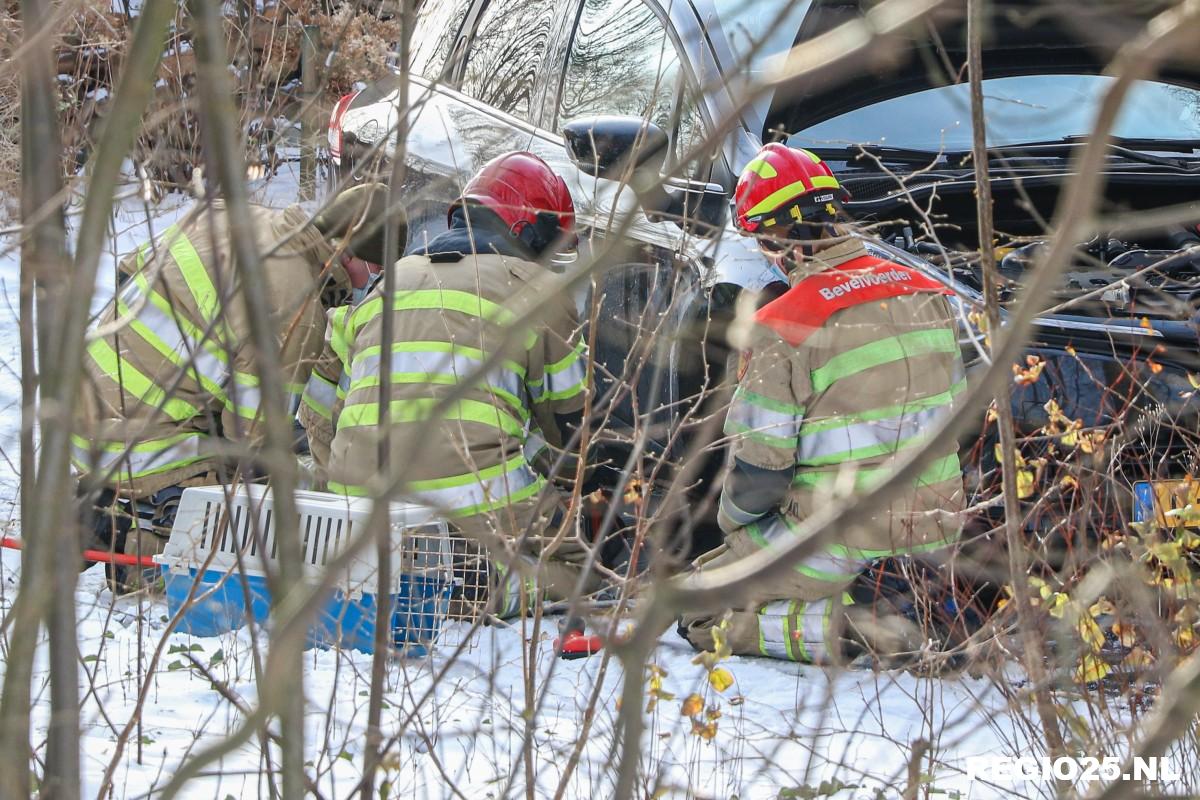 Kat bevrijd na avontuur onder motorkap