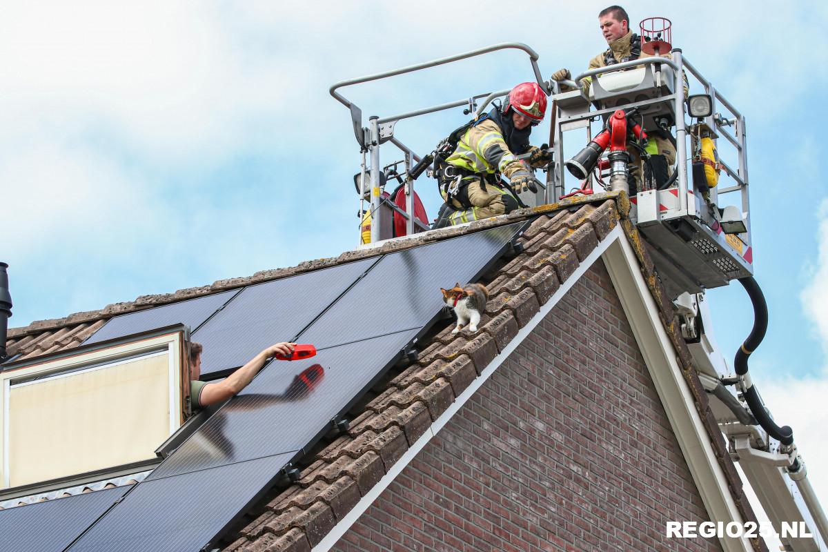 Kitty durft niet van het dak af te komen, brandweer schiet te hulp