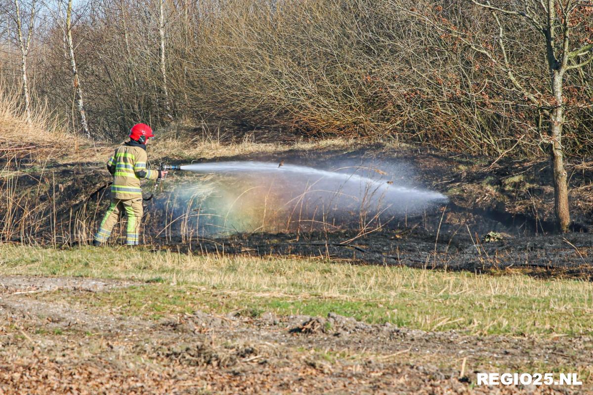 Rietbrand in Urkerbos snel geblust