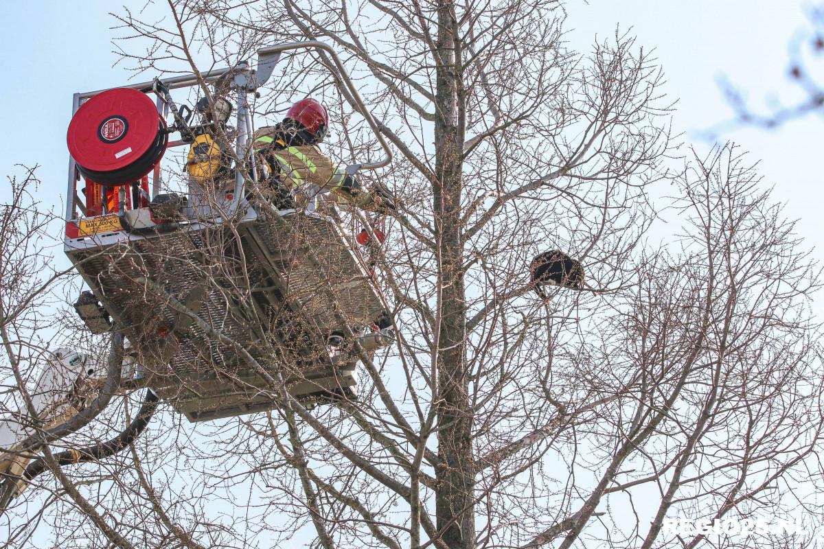 Kat in boom is brandweer te slim af