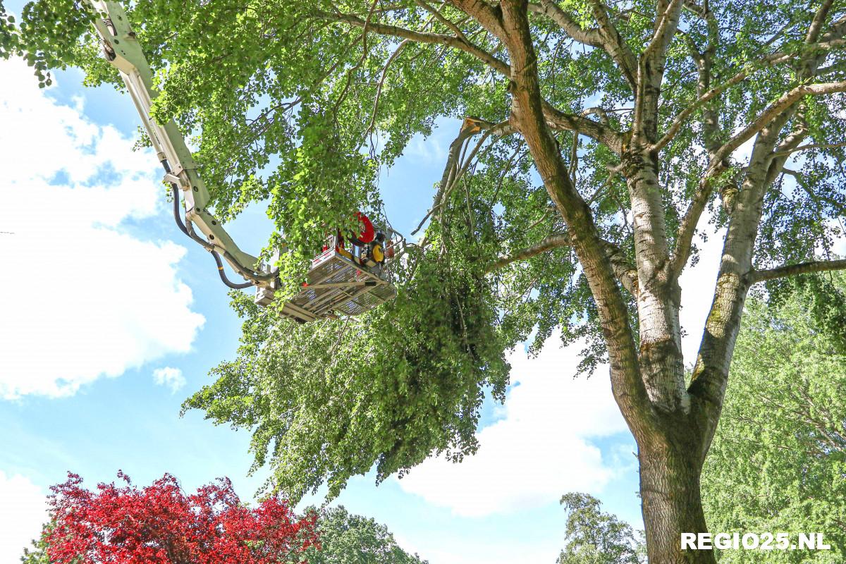 Peppellaan afgesloten door stormschade