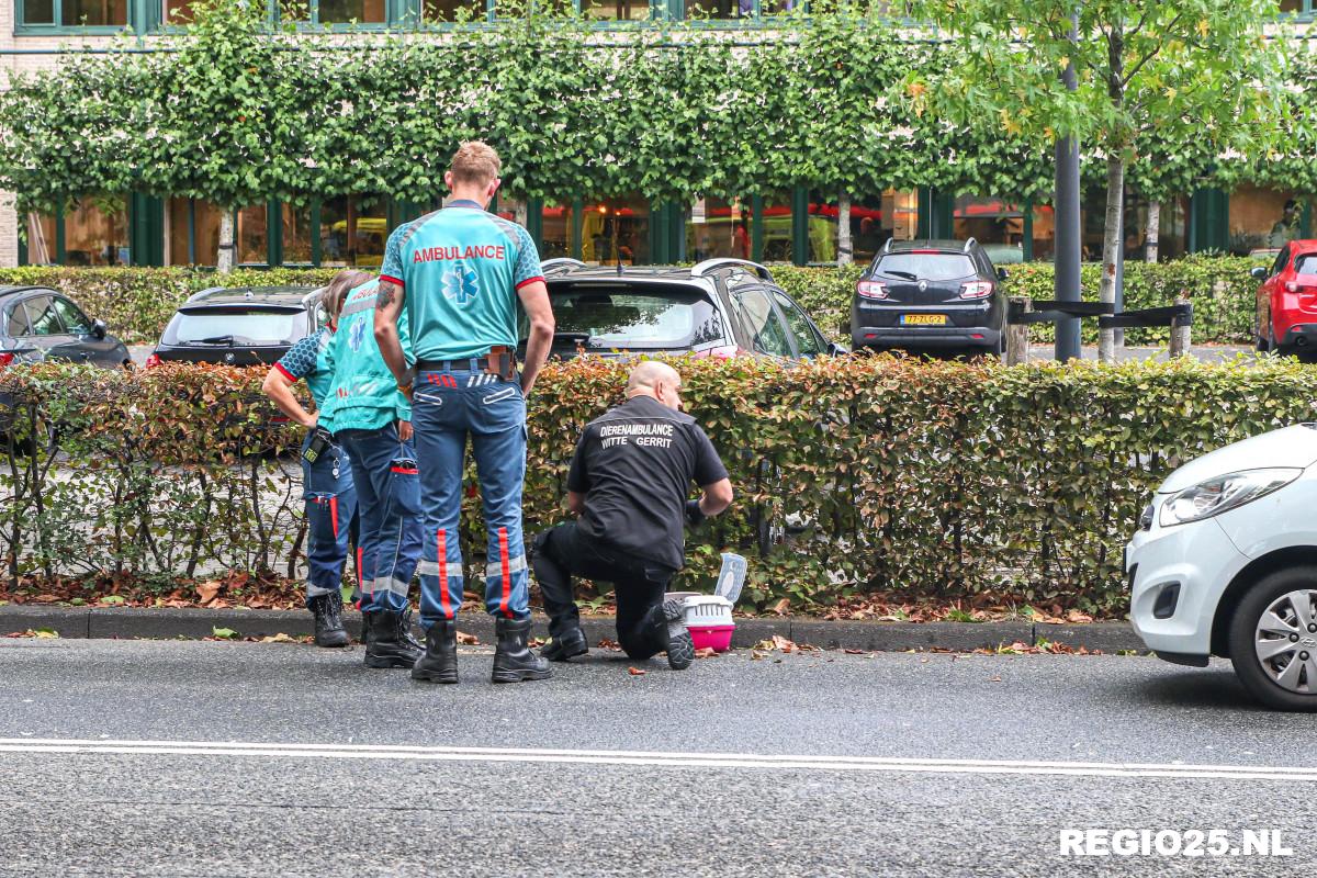 Kettingbotsing op Urkerweg