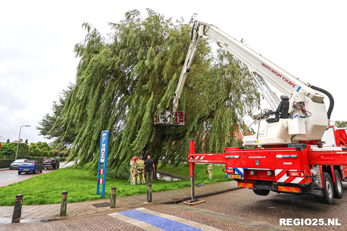 Brandweer blust brand in treurwilg