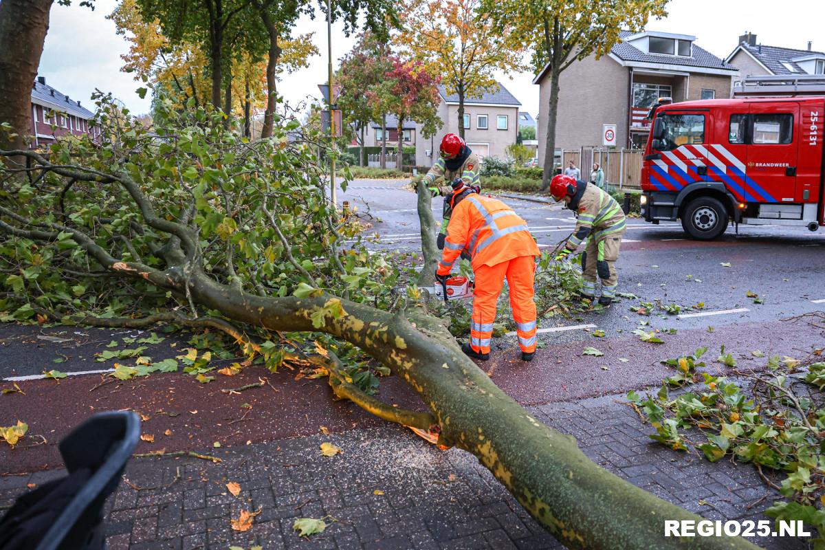 Storm Ciarán uitgeraasd, weinig schade-meldingen in de regio