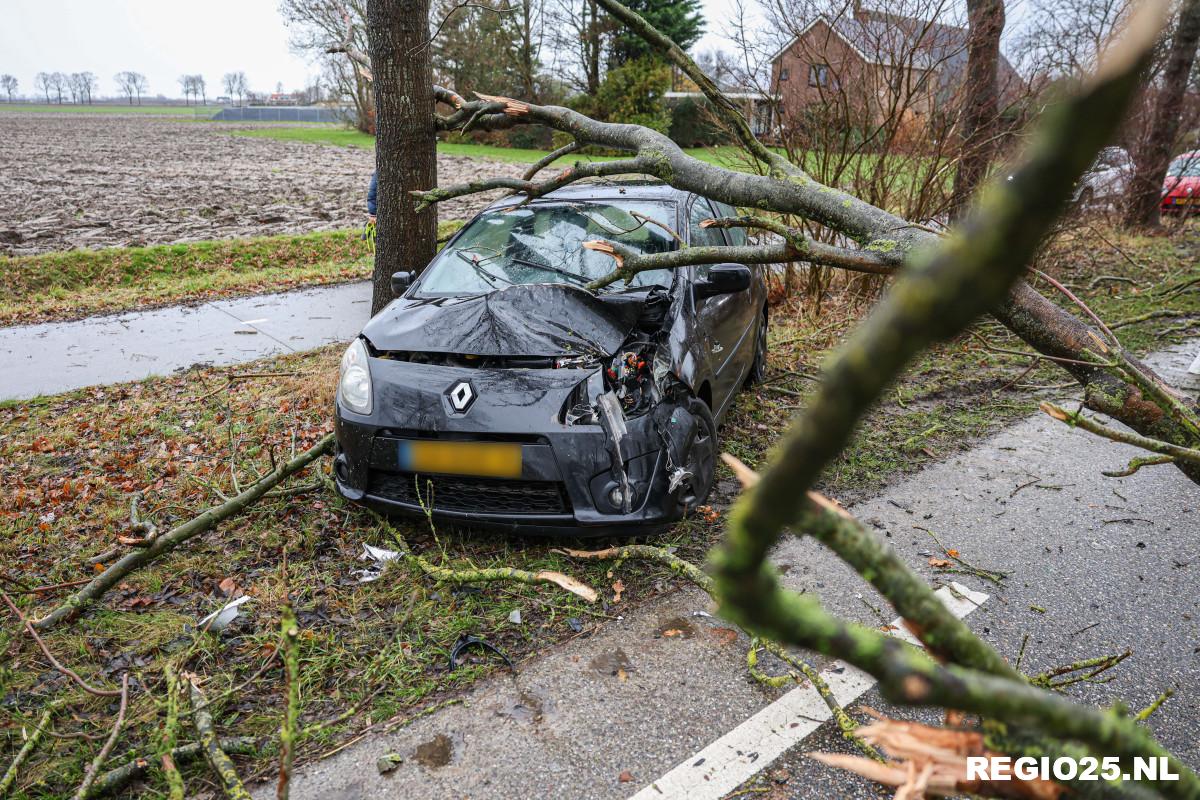 Auto botst tegen omgevallen boom