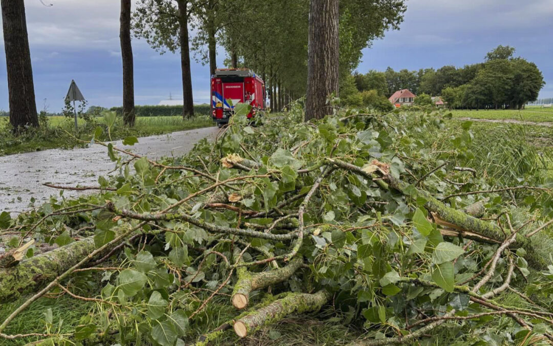 Meerdere stormschades door flinke onweersbui