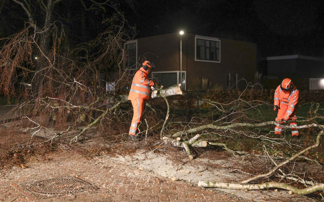 Storm Conall: N50 dicht en brandweer in actie