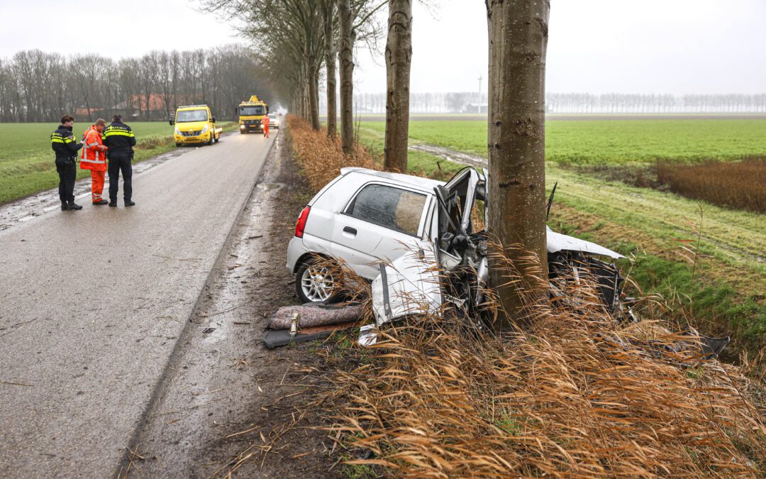 Auto botst tegen boom langs Pilotenweg