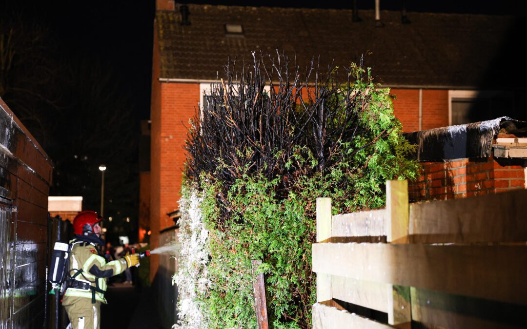 Coniferen in brand in achtertuin