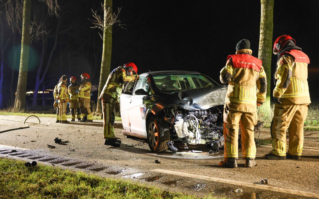 Auto botst tegen bomen langs Westerringweg
